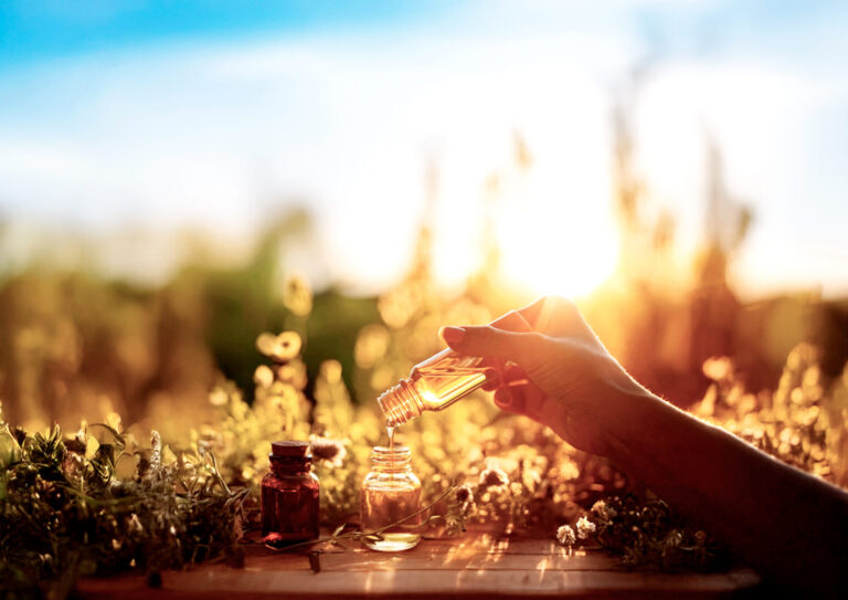 ブログテスト１